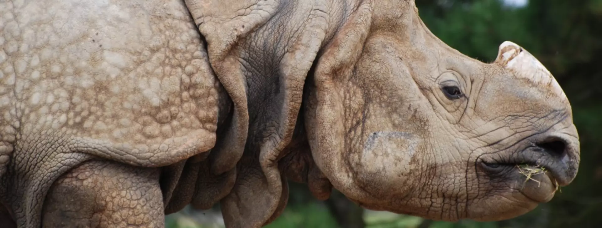 Saving wildlife starts with people | ZSL